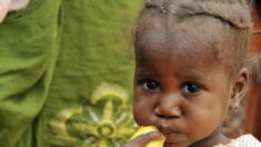 Sahel central: dix millions d’enfants en péril, selon l’UNICEF