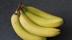 Japan Airlines: un passager demande un repas vegan, le personnel lui sert… une banane