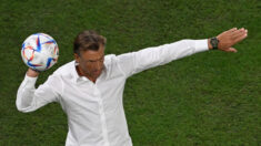 Foot: Hervé Renard à la tête des Bleues, un visage et un pari