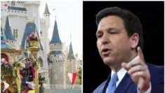 Ron DeSantis signe un projet de loi mettant fin au «royaume de l’entreprise» Disney