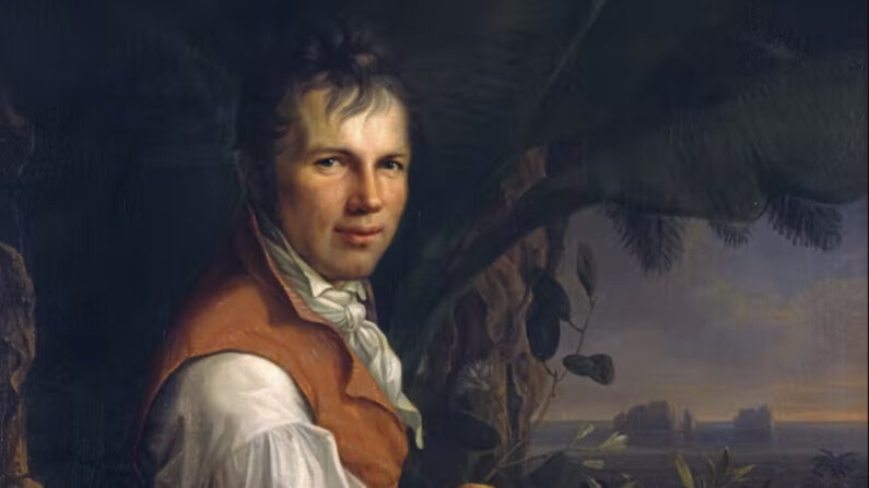 Portrait of Alexander von Humboldt par
Friedrich Georg Weitsch, 1806. Alte Nationalgalerie, Berlin.
Google arts and Culture
