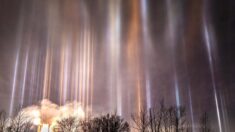 Une photographe immortalise de mystérieuses «colonnes lumineuses» dans le ciel nocturne