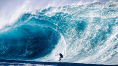 Un photographe de surf immortalise la beauté époustouflante et la puissance des vagues géantes