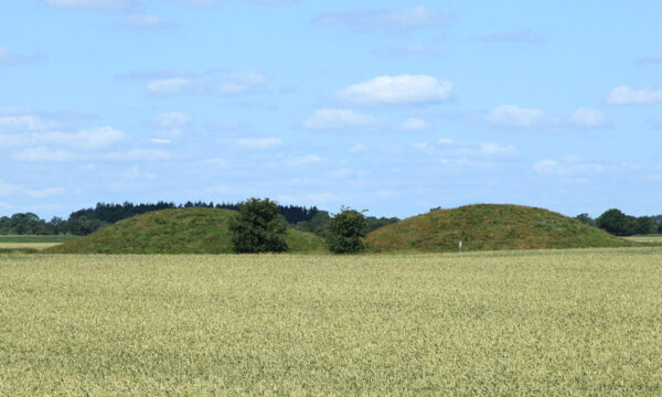 Un enfant découvre un trésor Viking avec son détecteur - Blog David  Detection