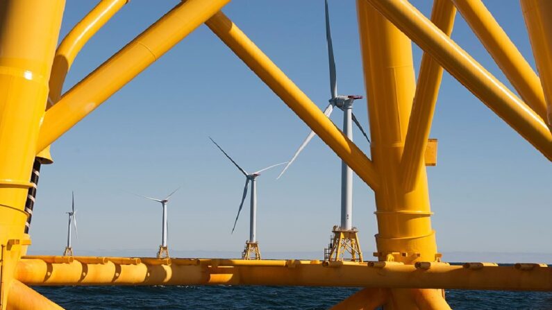 Par éolien offshore de 300 turbines à Rhode Island. (DON EMMERT/AFP via Getty Images)