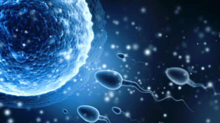 Le taux de spermatozoïdes a chuté de plus de 50% en quelques décennies: les spécialistes signalent deux causes principales