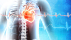 L’hormonothérapie transgenre peut augmenter les risques d’accident vasculaire cérébral et de crise cardiaque, selon une étude
