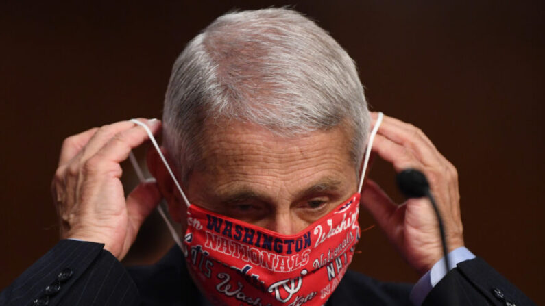 Le Dr Anthony Fauci, directeur de l'Institut national des allergies et des maladies infectieuses lors d'une commission sénatoriale à Washington, le 30 juin 2020. (Kevin Dietsch/Pool/Getty Images)

