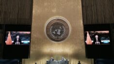 L’ONU cherche à se doter de vastes nouveaux pouvoirs pour gérer les situations d’urgence mondiale