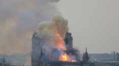 Une juge enquête sur la pollution au plomb provoquée par l’incendie de Notre-Dame