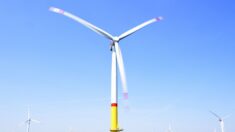 Neuf pays européens en sommet à Ostende pour décupler l’éolien en mer du Nord
