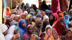 Au Nigeria, contre-terrorisme et avortements forcés