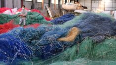 Recyclage textile en France: des objectifs «très ambitieux»