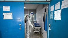 Guinée équatoriale: 12 morts dues au virus de Marburg selon un nouveau bilan