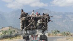 Éthiopie: le gouvernement débute le démantèlement des forces militaires des régions