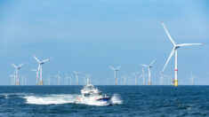Neuf pays d’Europe en sommet pour décupler l’éolien en mer du Nord