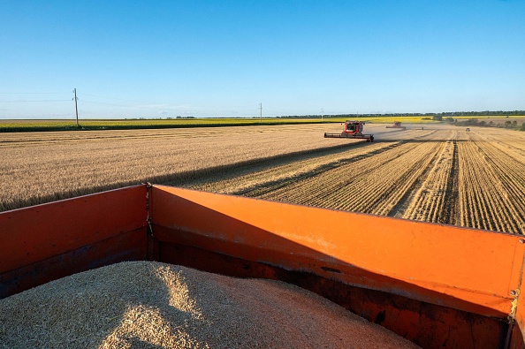 Le transit via la Pologne de plusieurs denrées alimentaires a été autorisé ce jour à partir de 02h00. (SERGEY BOBOK/AFP via Getty Images)