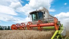 La Hongrie étend l’interdiction des produits agroalimentaires d’Ukraine