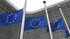 L’UE vote la fin des importations de produits issus de la déforestation