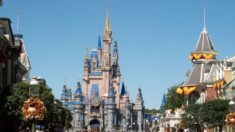 Disney perd son statut spécial et attaque le gouverneur de Floride Ron DeSantis