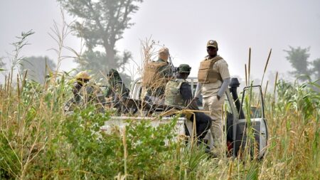 Nigéria: des hommes armés tuent près de 50 personnes dans le centre-nord