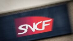 Retraites: les syndicats de la SNCF proposent une journée de «la colère cheminote» jeudi 20 avril