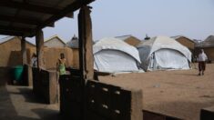 Au Sahel, des journalistes sous la pression des jihadistes et des autorités, dit RSF