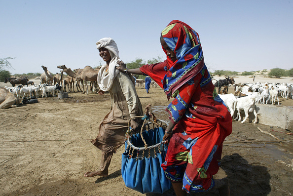 Deux éleveurs nomades transportent de l'eau d'un puits pour nourrir leurs chameaux. (PIUS UTOMI EKPEI/AFP via Getty Images)
