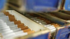 Saisie record de tabac de contrebande en Picardie