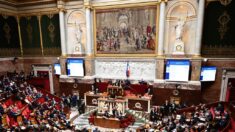 Revenus: les députés parmi les Français les mieux payés, mais en recul