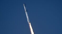 Starship, la plus grande fusée du monde, explose en vol après son premier décollage