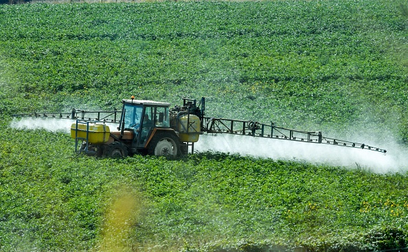 Un agriculteur pulvérise des produits phytosanitaires (herbicides, fongicides, insecticides) dans un champ à Méteren. Illustration. (PHILIPPE HUGUEN/AFP via Getty Images)
