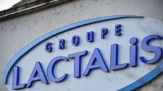 Lactalis, nouveau numéro 1 français de l’agroalimentaire devant Danone