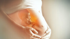 Croyez-vous en une vie après la naissance ? Une histoire de jumeaux dans l’utérus