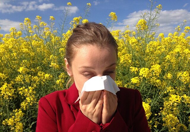 Les allergies peuvent être causées par le pollen, les poils d'animaux ou certains animaux par exemple. Illustration. (Pixabay)