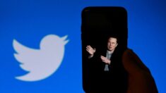 Twitter s’engage à sévir contre « l’instrumentalisation » de son système de signalement des abus