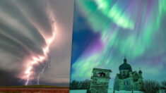PHOTOS : Un chasseur d’orages capture des aurores multicolores dansant au-dessus des Prairies canadiennes et des tempêtes surréalistes