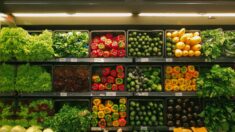 Les prix de gros des denrées alimentaires au Canada augmenteront en moyenne de 34 % entre 2022 et 2025, selon un professeur