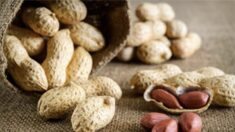 Les cacahuètes améliorent les fonctions cognitives et plus encore, mais certaines personnes devraient les éviter