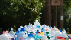 Plan contre la pollution plastique : le gouvernement veut booster l’industrie du réemploi et du recyclage
