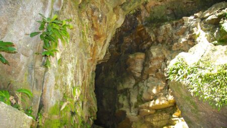 Crue dans une grotte en Nouvelle-Zélande: le corps d’un lycéen retrouvé