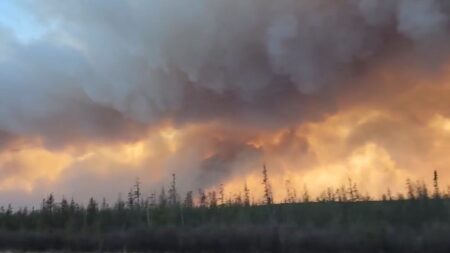 Vents violents et fortes chaleurs: 150 hectares de végétation détruits par un incendie dans le Pays basque