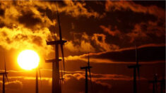 ANALYSE : Le véritable coût de l’énergie produite par les éoliennes