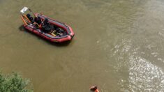 Les pompiers repêchent un crocodile dans la Dordogne: «Jusqu’au dernier moment, on a cru que c’était un vrai»
