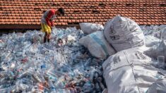 WWF balise la route vers une interdiction mondiale des plastiques à usage unique