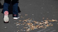 Le tabagisme reste stable en France, avec près d’un tiers de fumeurs