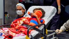 Quatre enfants dont un bébé ont survécu seuls 15 jours dans l’Amazonie colombienne, après un crash
