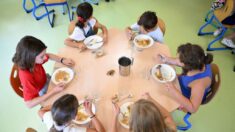 Sauvagnon: 80 élèves d’une école maternelle et primaire malades après un déjeuner à la cantine