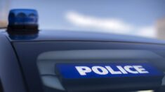 Jeune femme retrouvée morte dans le Morbihan: l’origine criminelle du décès confirmée