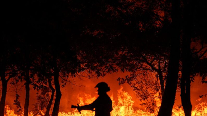 En 2022, «72.000 hectares dont 60.000 hectares de forêts sont partis en fumée» en France. (Photo d'illustration- PHILIPPE LOPEZ/AFP via Getty Images)